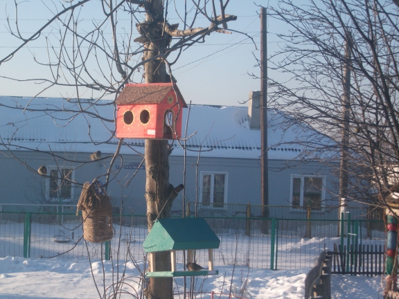 В столовой. Акция «Кормушка для пичужки» В столовой.