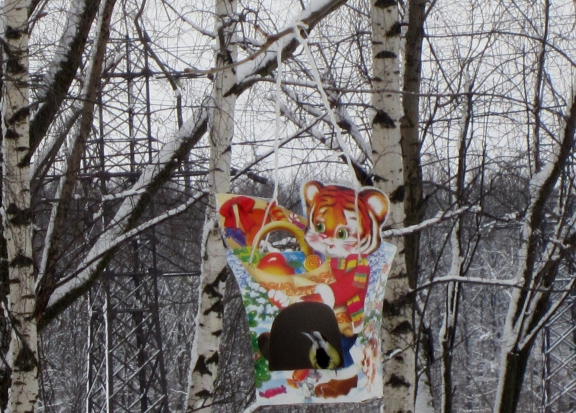 Новогодняя кормушка! Акция «Кормушка для пичужки» Новогодняя кормушка!