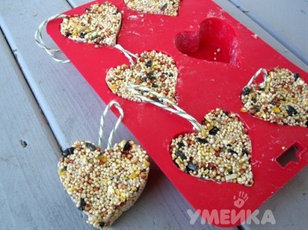 Необычная кормушка Акция «Кормушка для пичужки» Необычная кормушка