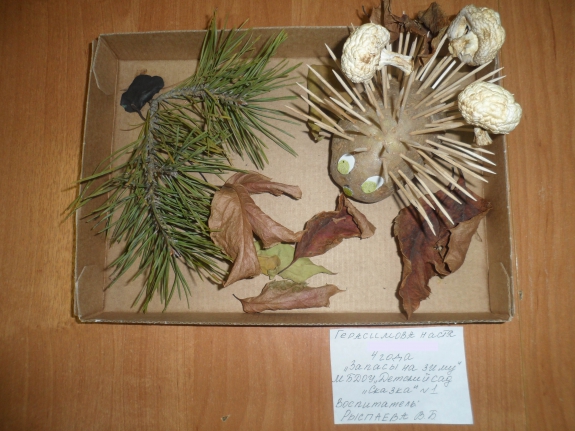 Запасы на зиму Конкурс детских поделок. Ноябрь 2013 Запасы на зиму