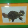 Кот Кот
