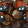 Божьи коровки Божьи коровки