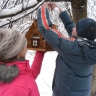 деревянные дворцы для пернатых деревянные дворцы для пернатых