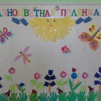 "Разноцветная полянка" "Разноцветная полянка"