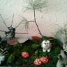 в лесу в лесу