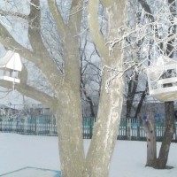 Кормушка для птиц Кормушка для птиц