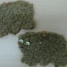 Мишки Мишки