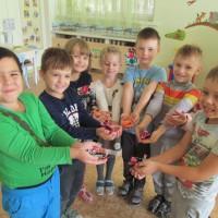 "Международная акция «Гирлянда дружбы»" "Международная акция «Гирлянда дружбы»"