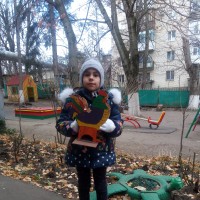 кормушка для птиц кормушка для птиц