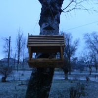 кормушка для пичужки кормушка для пичужки