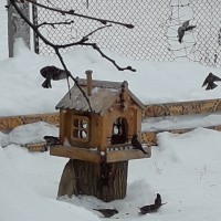 Терем-кормушка для пичужки. Терем-кормушка для пичужки.