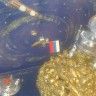 Через тернии к звездам Через тернии к звездам