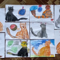 Кошки Кошки
