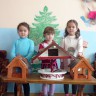 Кормушка для пернатых друзей. Кормушка для пернатых друзей.