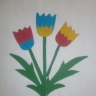Тюльпаны Тюльпаны