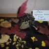 Ежик Ежик