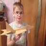 "Самолет построим сами" "Самолет построим сами"