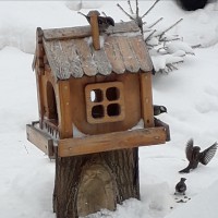 Терем-кормушка для пичужки. Терем-кормушка для пичужки.