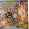 Котята Котята