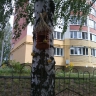 Дружная семья Дружная семья