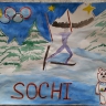 сочи 2014 сочи 2014