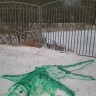 Снежный крокодил Снежный крокодил
