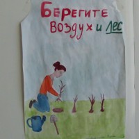 Берегите лес Берегите лес