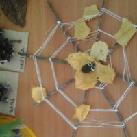 Паутинка Паутинка