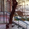 Кормушка Кормушка