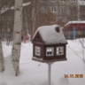 щедрая зима щедрая зима
