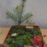 Осенний лес Осенний лес