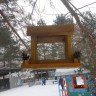 для наших пернатых любимцев для наших пернатых любимцев