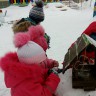 Помогаем птичкам зимой Помогаем птичкам зимой