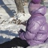 "Подкормите птиц зимой" "Подкормите птиц зимой"