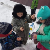 Покормите птиц зимой Покормите птиц зимой