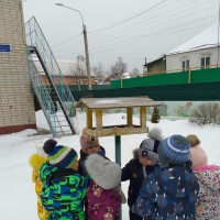 «Покормим птичек вместе» «Покормим птичек вместе»