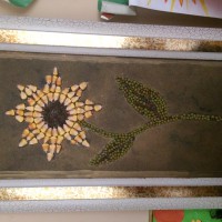 Подсолнух Подсолнух