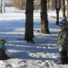 Кормушка из Мордовии Кормушка из Мордовии