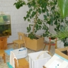 DSCN0787.JPG