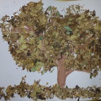Осень золотая Осень золотая