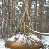 Синичкина радость Синичкина радость