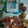 Осенний букет.jpg Осенний букет.jpg