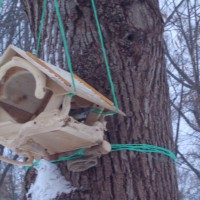 Кормушка для синичек Кормушка для синичек