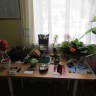 Работы из природного материала Работы из природного материала