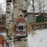 Не забывайте нас, ребята... Не забывайте нас, ребята...