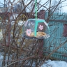 кормушка для птиц кормушка для птиц