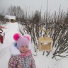 Кормушка для птиц Кормушка для птиц