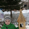 Кормушка для пичужки Кормушка для пичужки