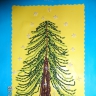 "Лесная красавица" "Лесная красавица"