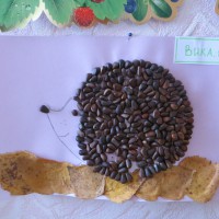 Ореховый ёжик Ореховый ёжик